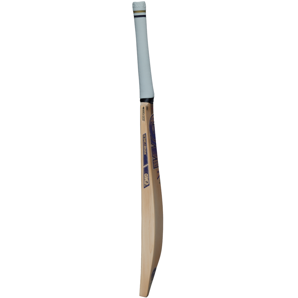 Brava_Bat_3