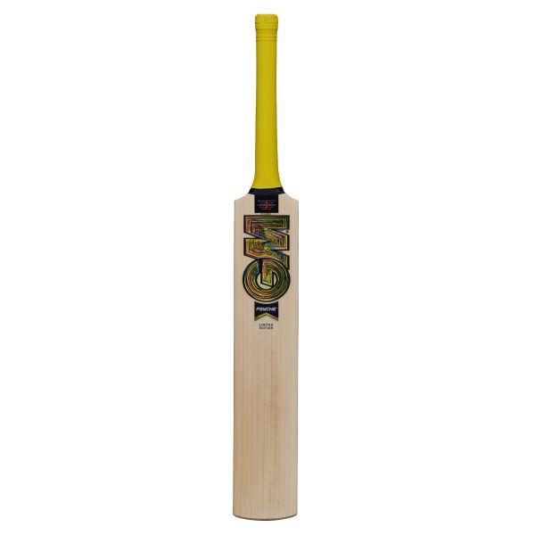 GM Psyche 404 Junior Cricket Bat